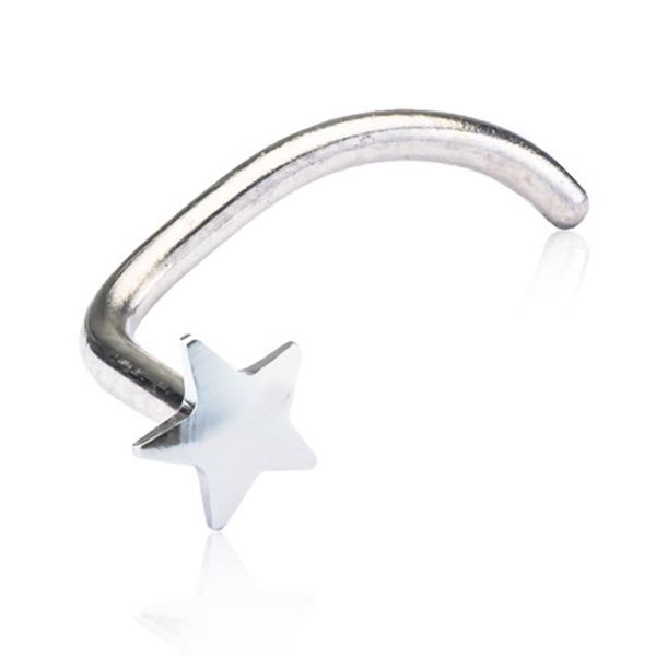 Blomdahl - Silver Titanium Star – Nose