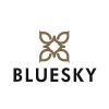 bluesky logo