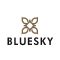 BLUESKY GEL