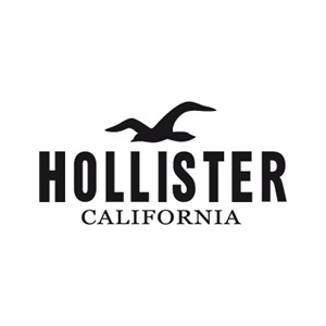 hollister logo